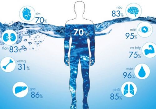 Vai trò của nước đối với cơ thể