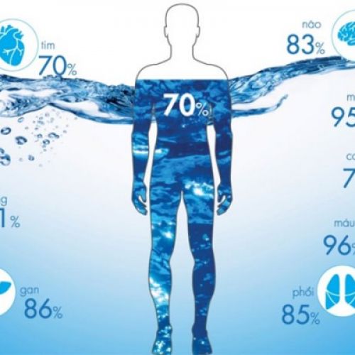 Vai trò của nước đối với cơ thể