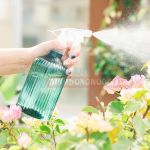 Bình xịt nước tưới cây