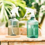 Bình xịt nước tưới cây